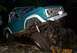 1970 Ford Bronco - night wheelin' on Full Size a 3+ trail