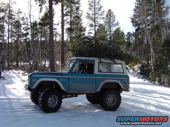 the Bronco retrieves a Christmas tree