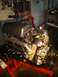 1992 Ford Bronco photo