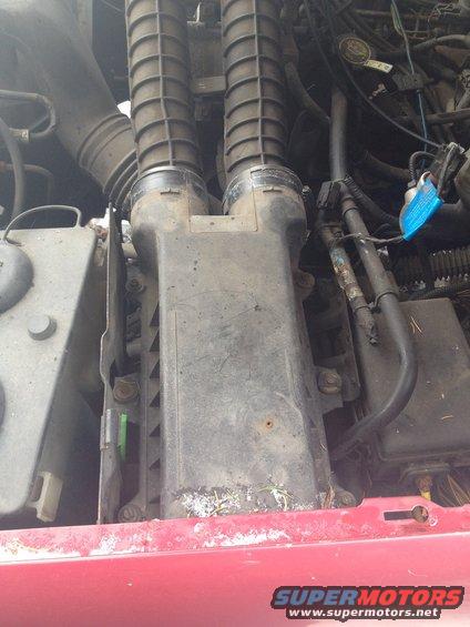 Engine air intake assembly with dual ribbed hoses