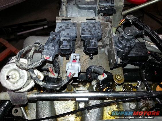 Close-up of Ford fuel injectors and intake manifold with wiring harnesses