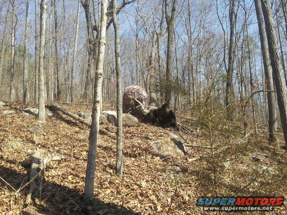 Camouflage hunting blind set up on a wooded hillside with fallen leaves and rocks