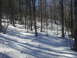 20140216_123229.jpg