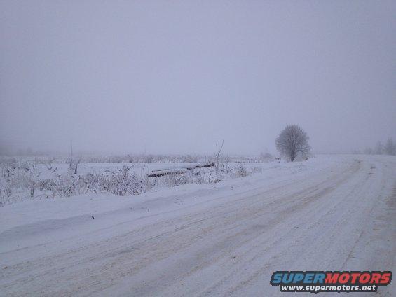 Snowy road curves through a barren, winter landscape with a lone tree