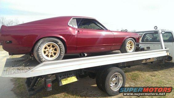 image.jpg One day old paint