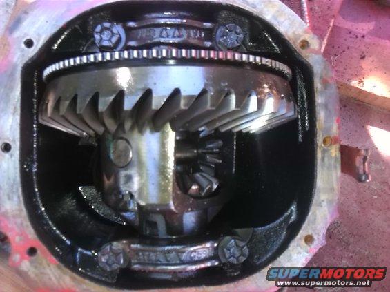 Differential gears with a ring gear and pinion gear visible inside a black housing. Some oil is present