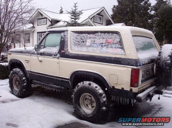 2762.jpg Encapsuled in a thick sheet of ice.  Need a chisel to get into this.