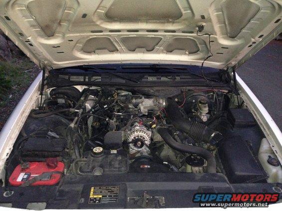img_1668.jpg Under Hood