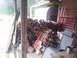 20140316_094855.jpg