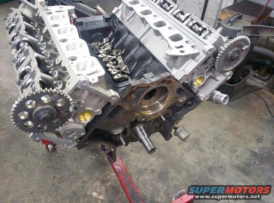 Ford modular V8 engine block on an engine stand, showing cylinder heads and timing gears
