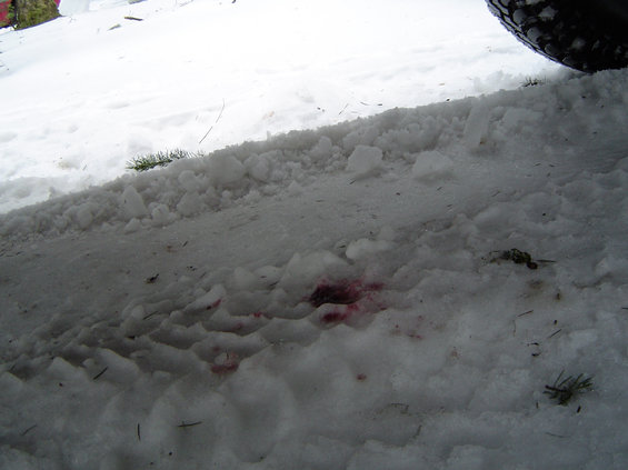 aod..fix-003.jpg It was dripping this much everywhere i went in the snow