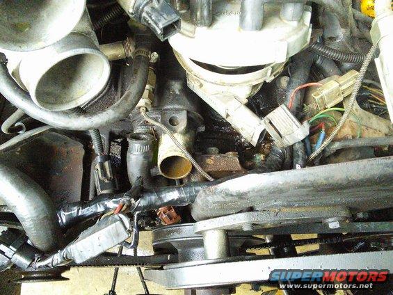 Engine bay with hoses, wires, and a distributor cap. A Supermotors.net watermark is visible