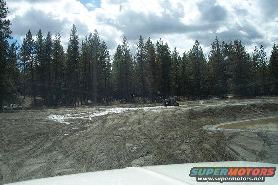SUV driving on a muddy, tire-tracked dirt road with pine trees in the background