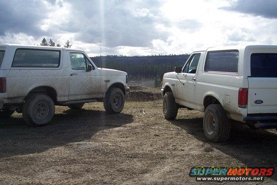 Two white Ford Broncos parked on dirt with trees and cloudy sky in background. One Bronco is in the foreground, facing right. The other is behind it, facing left