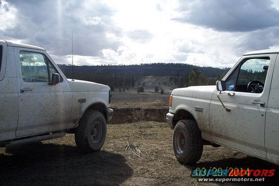 Two white Ford Broncos parked on a dirt road, one facing left, the other facing right, with a wooded landscape in the background