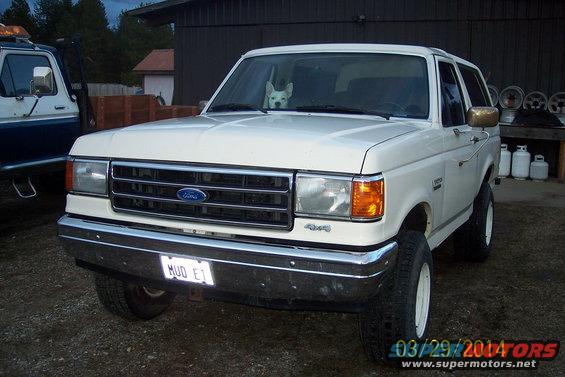 White Ford Bronco with a dog in the windshield. Another vehicle is partially visible to the left