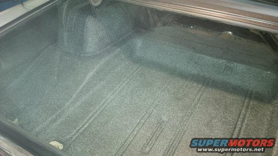 Car trunk interior with textured carpeting and a raised section