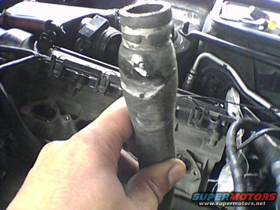Hand holding damaged engine hose in engine bay