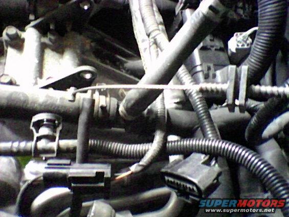 Close-up of engine bay hoses, wires, and connectors