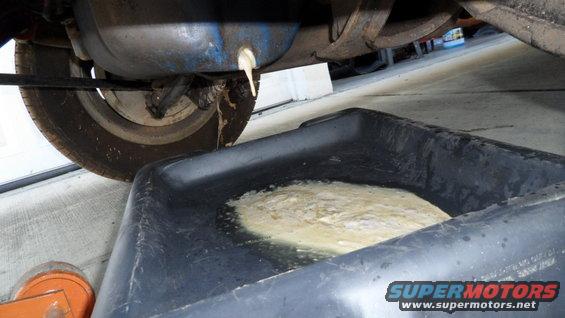draining oil pan with fluid in a black catch pan