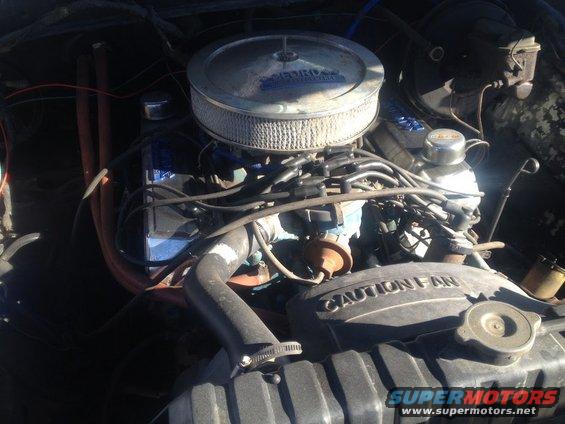 Engine bay of a 1979 Ford Bronco, showing the V8 engine with a chrome air cleaner and blue valve covers