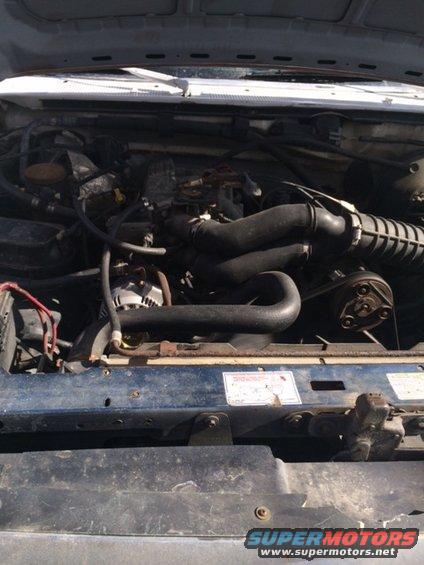 engine bay with hoses, belts, and alternator visible