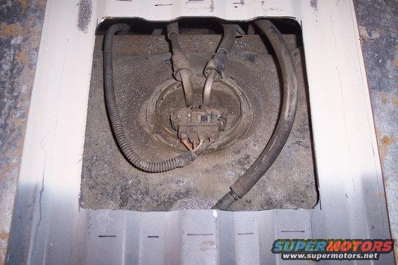 Close-up of a vehicle's fuel pump assembly with hoses and electrical connector