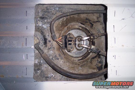 Fuel pump access panel with electrical connector and fuel lines