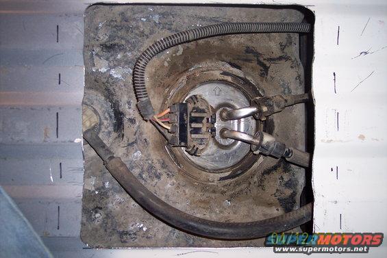 Fuel pump assembly in a metal cutout, with hoses and electrical connector