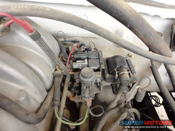 dsc00753.jpg 1995 MAF 5.0L Fuel Pressure Regulator, TAB/TAD solenoids, EVR solenoid, ignition coil