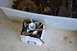 1981 Ford F-250 - A box of engine valves and other assorted automotive parts are visible in this image.