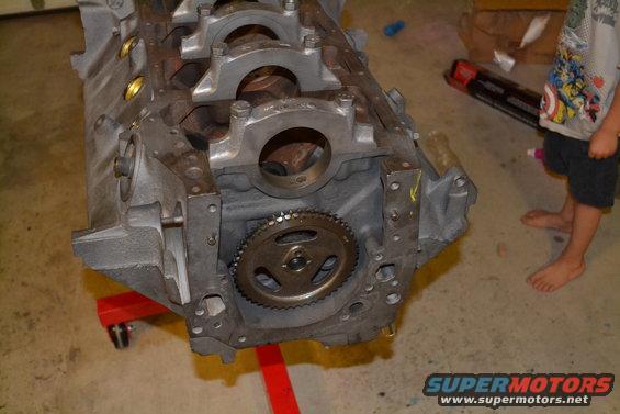 Engine block with timing gear on red stand
