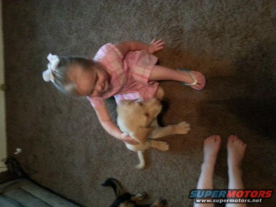 Child in pink shirt holding a light-colored puppy on a carpeted floor