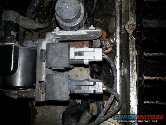 Engine compartment relays and wiring