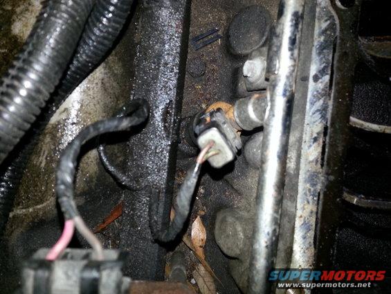 close-up of engine sensor with two wires connected to a gray plug, surrounded by greasy engine components and black wiring loom