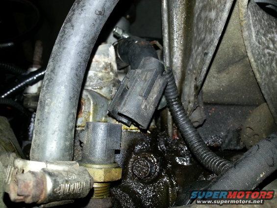 Close-up of engine sensors, hoses, and greasy components