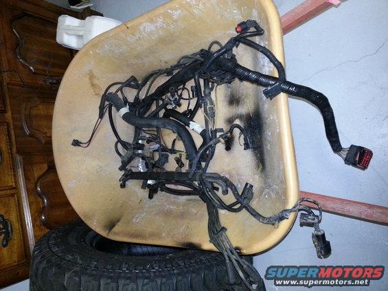 Engine wiring harness in a wheelbarrow, resting on a tire. Black wires and connectors are visible