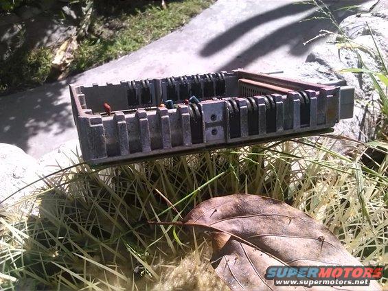 Electronic control unit with heatsink fins sitting on grass next to a leaf