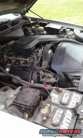 engine bay of a 1994 Ford Crown Victoria, showing the V8 engine, battery, and fuse box