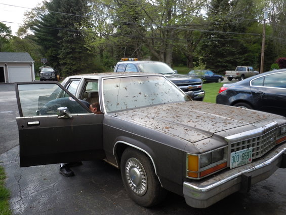 Dark sedan with open driver door, leaves on windshield. License plate 303 6597 visible. Other cars and a garage in background