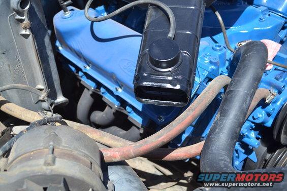 Close-up of a blue Ford V8 engine with black air cleaner and red hoses