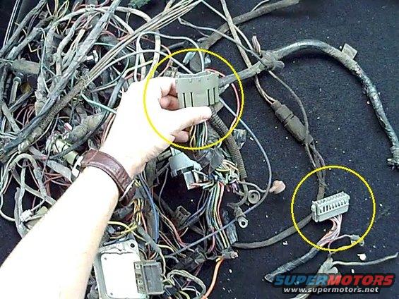 Hand holding a gray electrical connector with multiple wires attached to a large bundle of automotive wiring