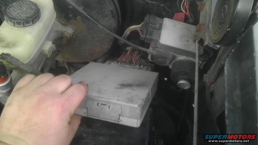 Hand holding gray engine control module with wiring harness visible