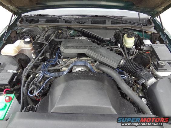 engine bay with V8 air intake and wiring