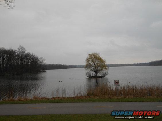 Overcast lake scene with a tree on a small island, reeds, and a road in the foreground. Watermark reads SUPERMOTORS