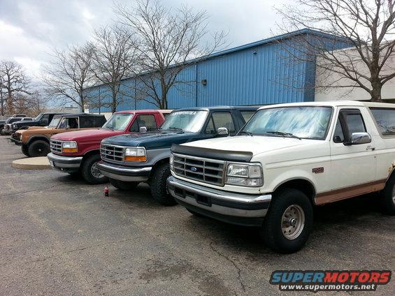 White Ford Bronco parked in a line with other Broncos