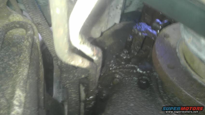 Engine area with oil leak and hoses
