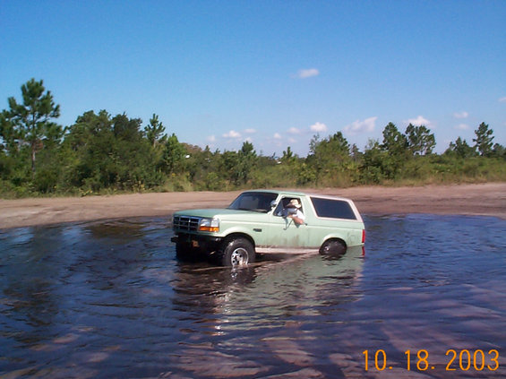 shane.jpg Umm, could somebody gimme a tug?