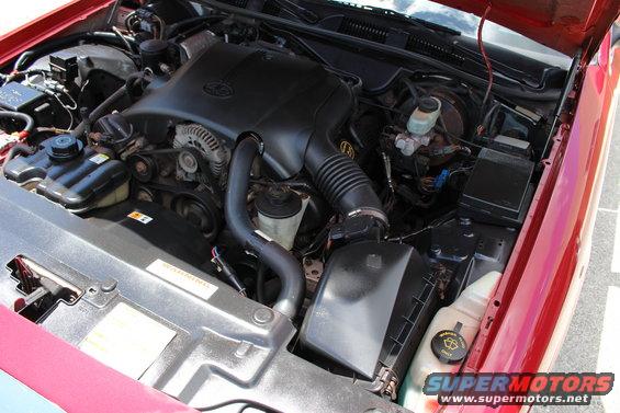 Engine bay of a red car, showing the V8 engine, air intake, and various hoses and fluids