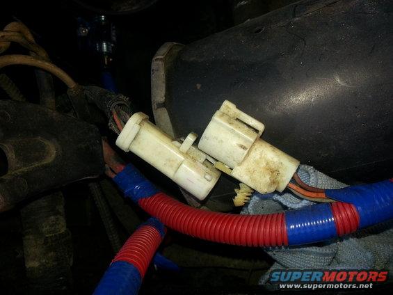 Engine wiring harness connectors with red and blue corrugated tubing